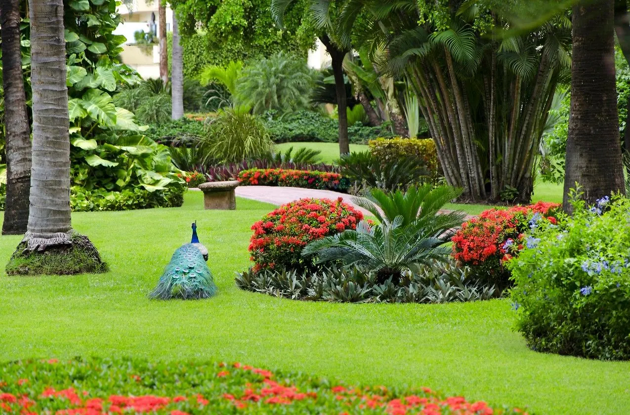 Velas Vallarta Suite Resort All-Inclusive Puerto Vallarta